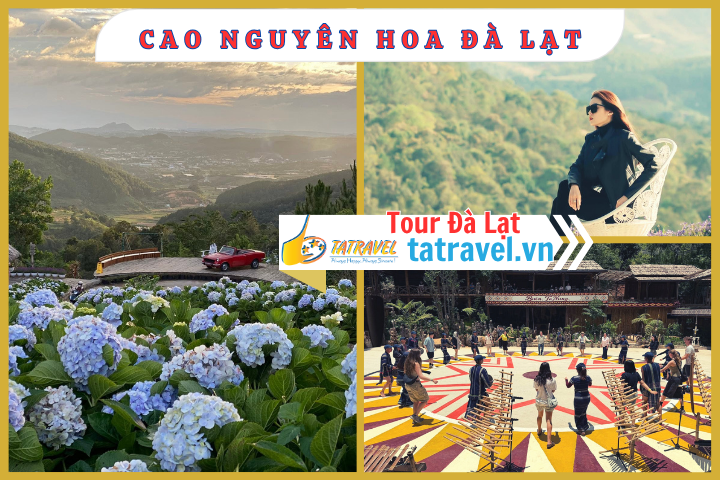 Tour Langbiang Đ&agrave; Lạt 1 ng&agrave;y - Tour Đ&agrave; Lạt 3 ng&agrave;y 2 đ&ecirc;m 2026 bay từ H&agrave; Nội/ tp HCM/ Đ&agrave; Nẵng/ Hải Ph&ograve;ng